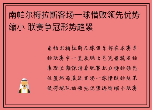 南帕尔梅拉斯客场一球惜败领先优势缩小 联赛争冠形势趋紧