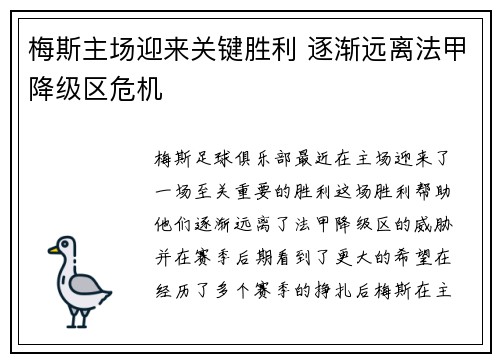 梅斯主场迎来关键胜利 逐渐远离法甲降级区危机